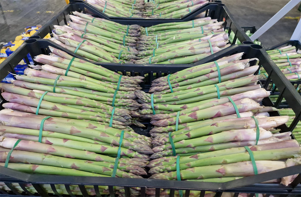 Asparagi - Italia - 5,50/6 euro al chilogrammo